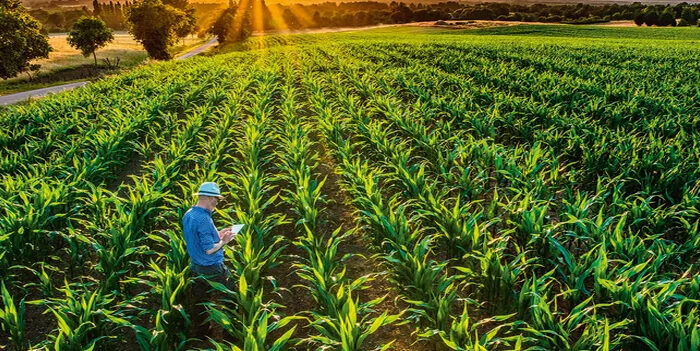 Produtor Rural emitindo Nota Fiscal Produtor Rural