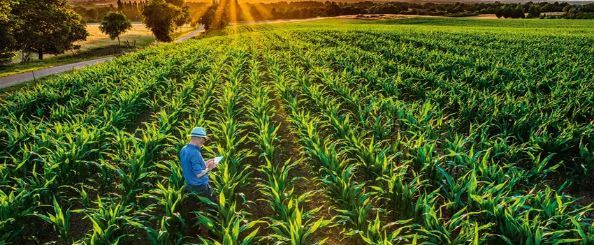 Produtor Rural emitindo Nota Fiscal Produtor Rural