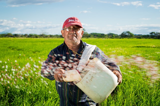 Como emitir nota fiscal eletrônica de produtor rural SP