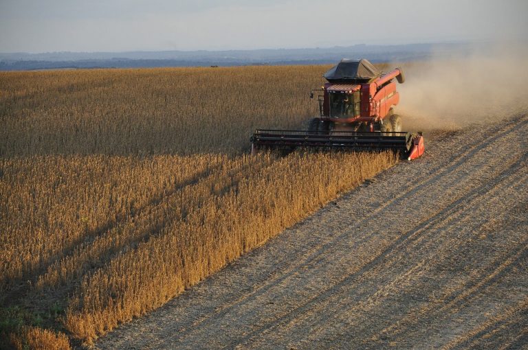 Nota Fiscal Eletrônica MA - Produtor Rural Pessoa Física por emitir Nota Avulsa SEFAZ NET ou usar Emissor de NFe