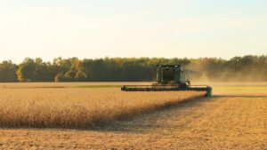 Sped Fiscal Produtor Rural é exigido em Mato Grosso (MT)