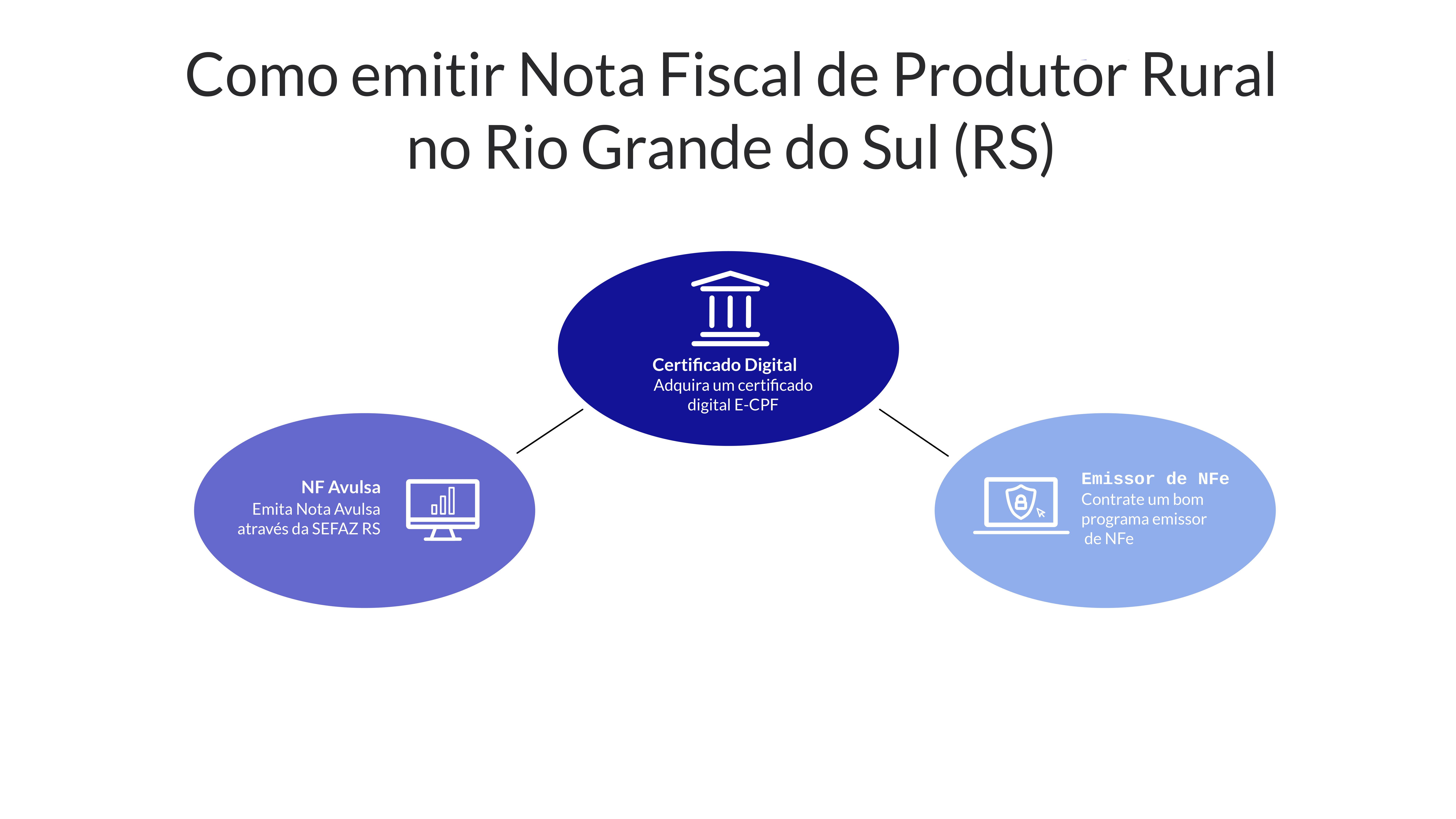 Infográfico sobre como emitir Nota Fiscal Eletrônica (NFe) de Produtor Rural no Rio Grande do Sul (RS)