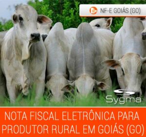 Nota Fiscal Eletrônica Produtor Rural Goiás (GO)