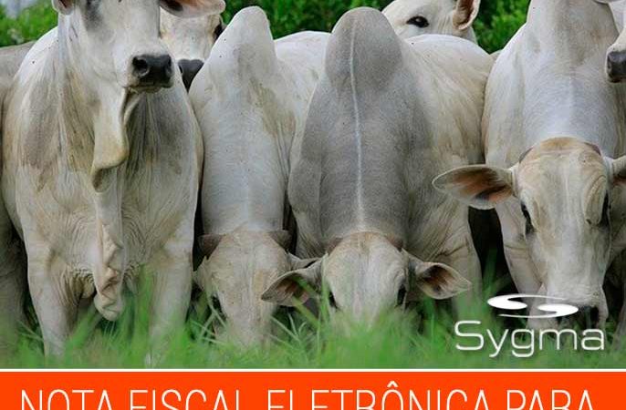 Nota Fiscal Eletrônica Produtor Rural Goiás (GO)