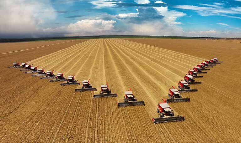 Diversas colhedeiras colhendo soja em Mato Grosso (MT)