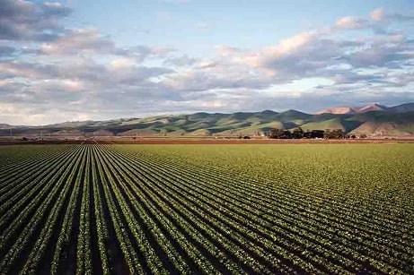 Emissor Nota Fiscal Eletrônica Produtor Rural Barato