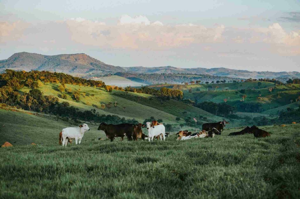 impostos sobre a nota fiscal do produtor rural