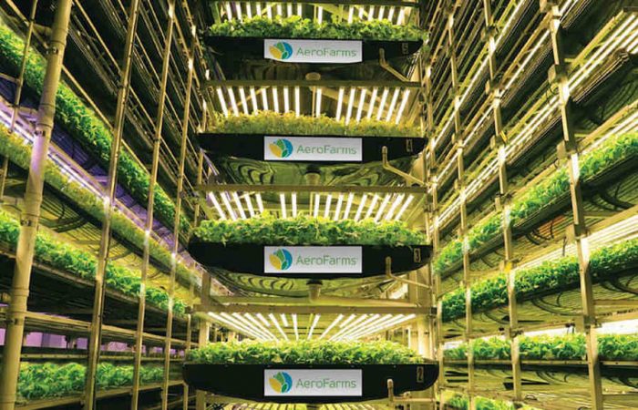 agricultura vertical