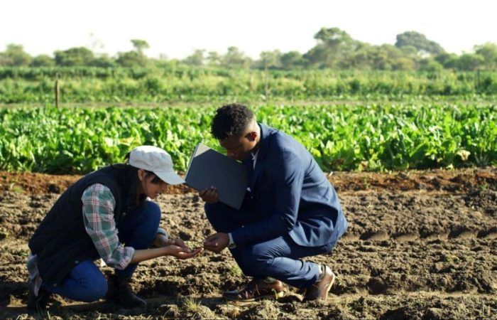 Homem e mulher agachados em plantação, realizando testes de sustentabilidade no agronegócio.