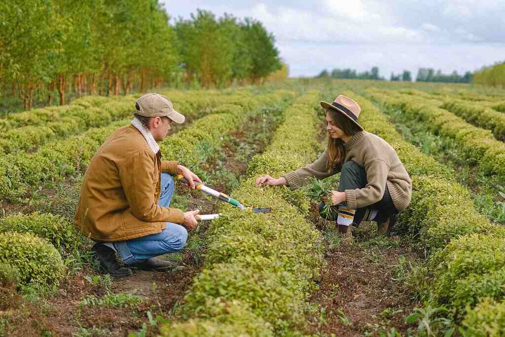 benefícios produtor rural como conseguir