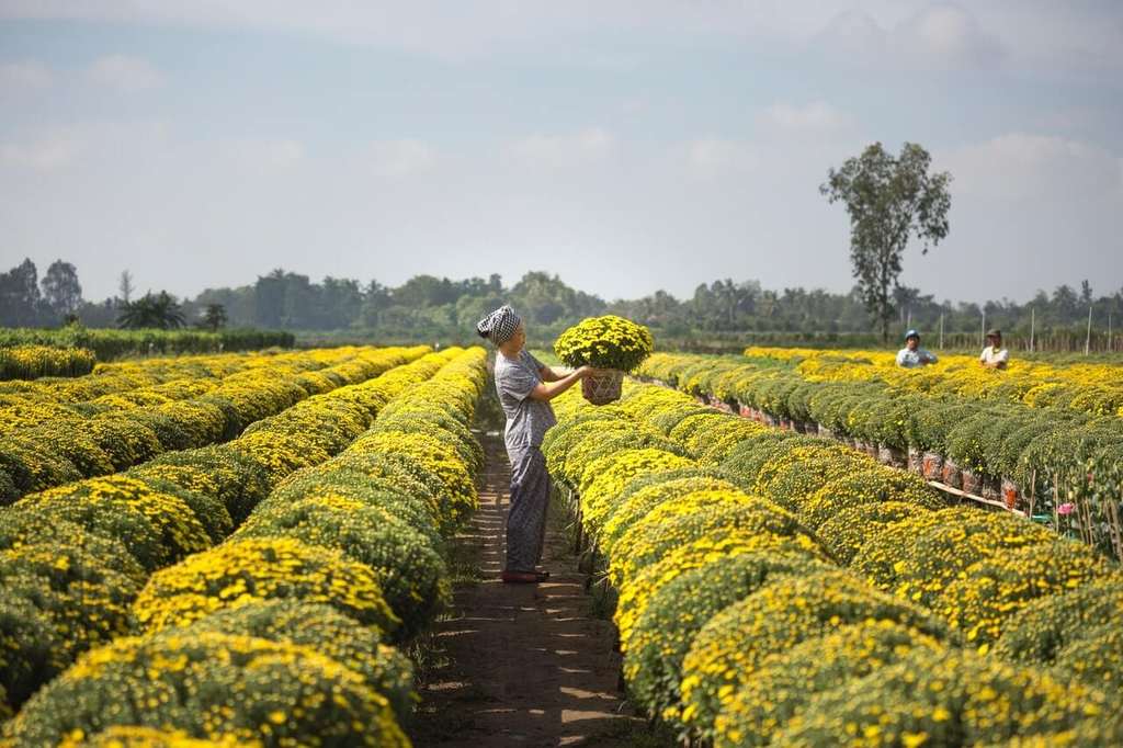 produtor rural pode abrir empresa