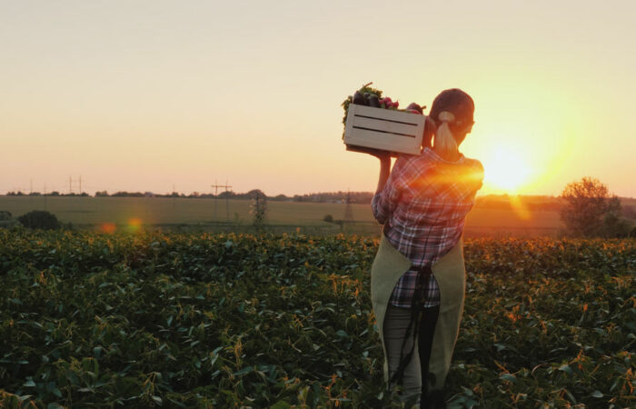 Mulher carregando frutas colhidas numa caixa em seu ombro, ela está em pé numa plantação em área externa rural, simbolizando financiamento rural