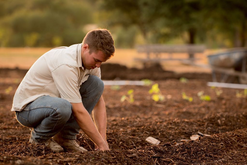 Homem do campo plantando em propriedade rural, simbolizando o IPTU rural