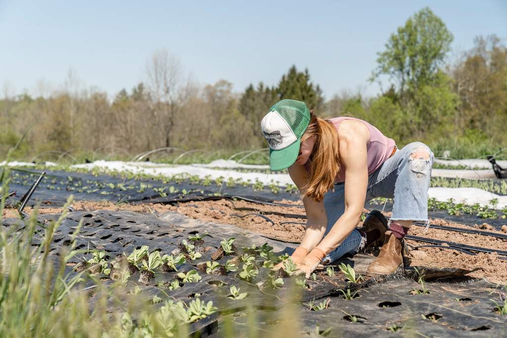 Produtora rural cuidando de mudas em plantação