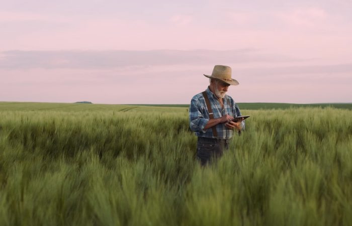 Senhor de chapéu de palha, suspensório e camisa xadrez azul, usando tablet no meio de uma plantação, simbolizando cadastro de produtor rural