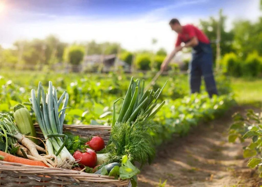 nota fiscal de produtor rural pr