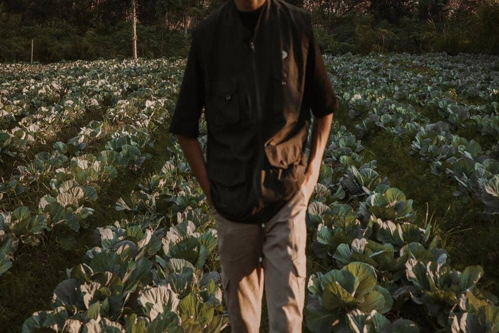 homem andando na plantação da fazenda representando como fazer uma gestão de fazendas eficaz