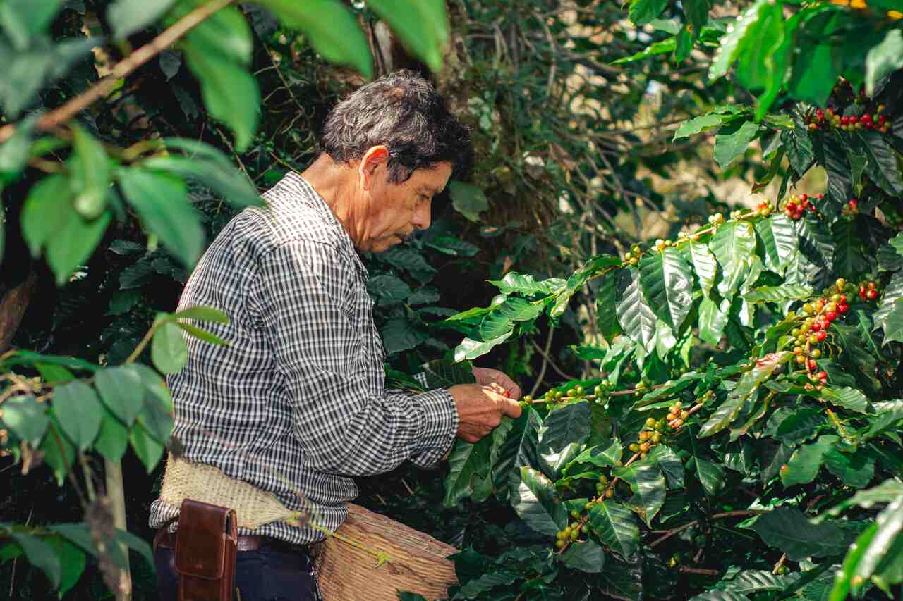 nota fiscal de produtor rural pr