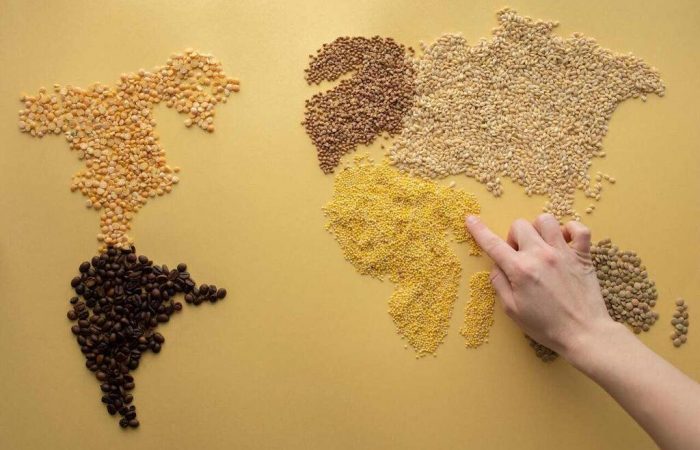 grãos formando o mapa mundi, representando o calendário agrícola