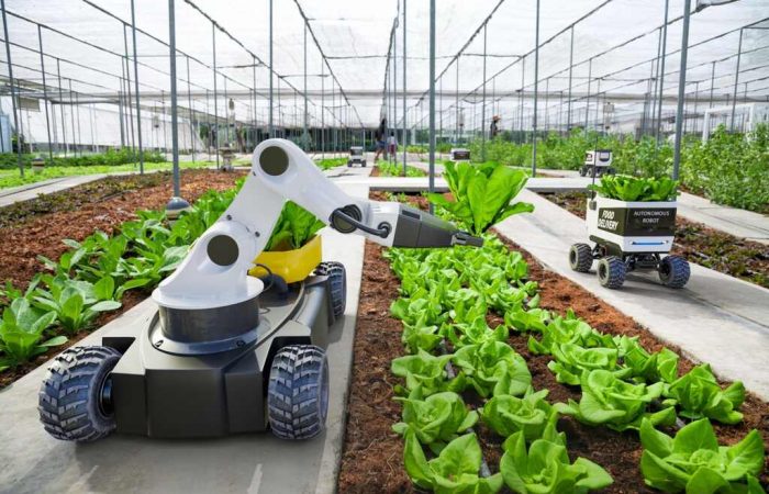 máquina em plantação representando a agricultura moderna