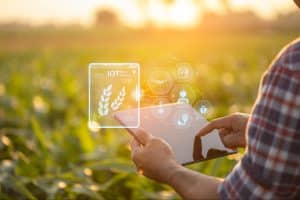 Pessoa utilizando ferramenta tecnológica em plantação, representando a agricultura digital.