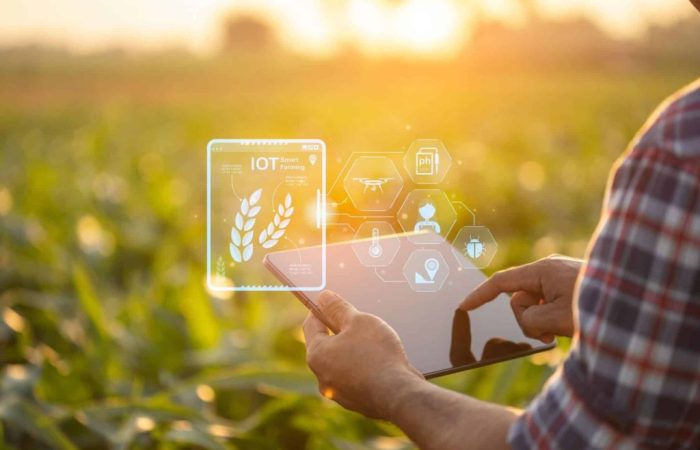 Pessoa utilizando ferramenta tecnológica em plantação, representando a agricultura digital.