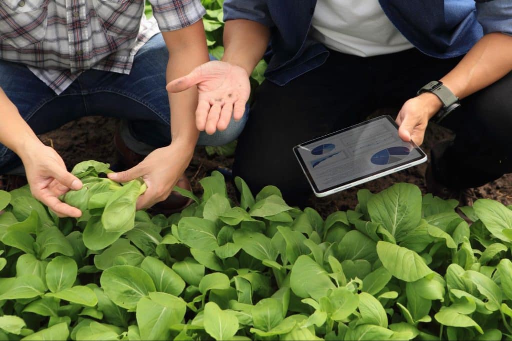 agricultura digital