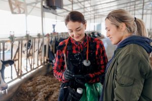 produtoras cuidando de rebanho com as tecnologias da pecuária 4.0