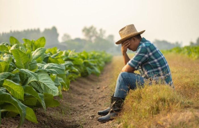 produtor rural preocupado devido à nota fria