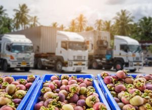 caminhões para transporte de alimentos