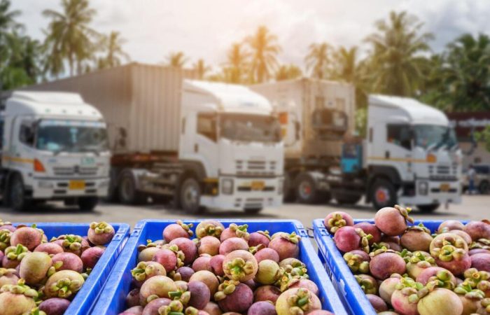 caminhões para transporte de alimentos