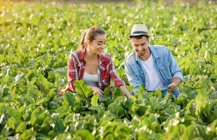 produtores rurais em plantação representando o associativismo rural