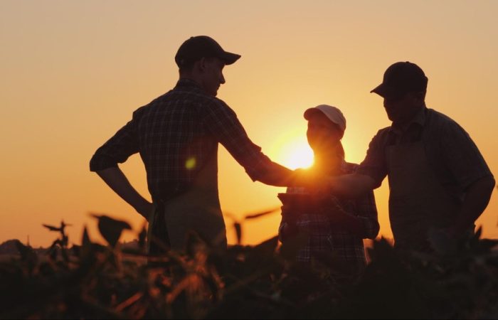 produtores rurais em cooperativa agropecuária