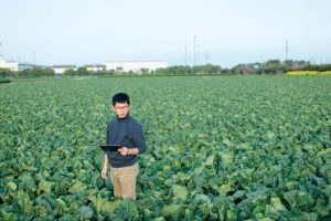 produtor em plantação depois de aplicar tecnologias de smart farming