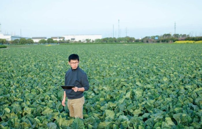 produtor em plantação depois de aplicar tecnologias de smart farming