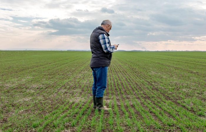 Homem de costas, vestido com roupas apropriadas para trabalho no campo, em pé em plantação, segurando celular