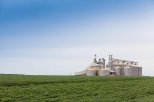 Silos de armazenagem de grãos em meio a uma lavoura.