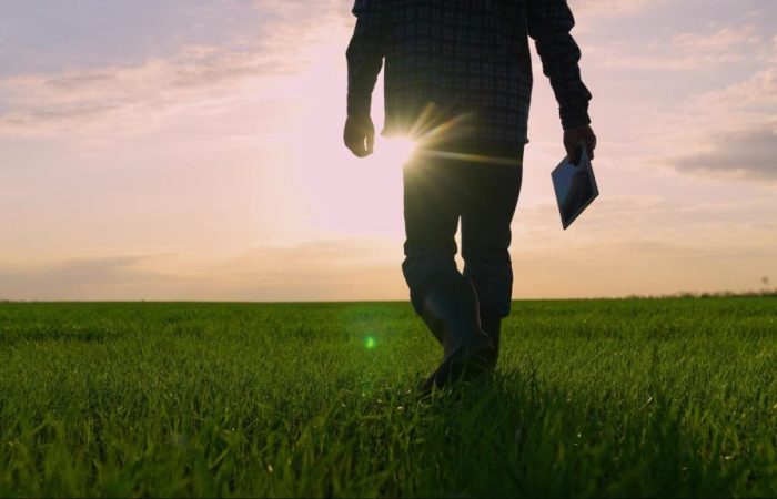 Homem andando em direção ao pôr do sol, em um gramado, segurando uma folha de papel.