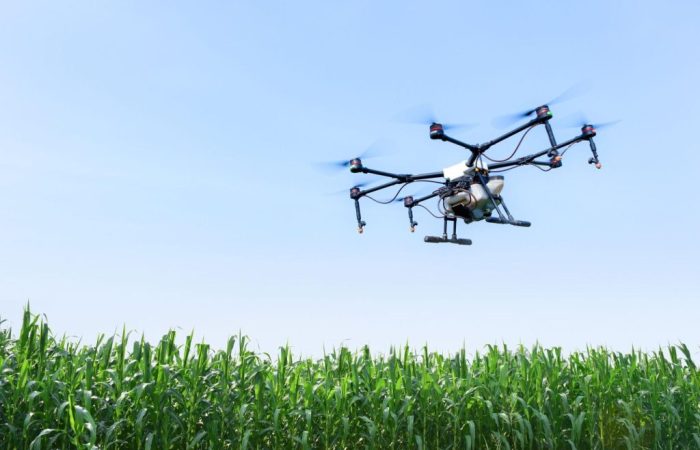 Drone sobrevoando campo agrícola.