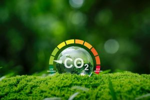 Medidor de carbono em cima de musgo em floresta, representando o crédito de carbono.