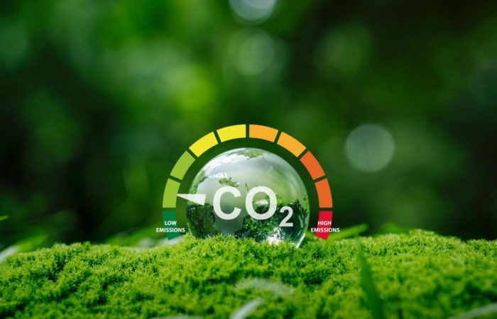 Medidor de carbono em cima de musgo em floresta, representando o crédito de carbono.