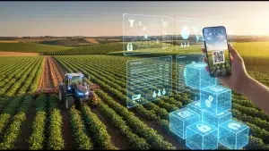 Plantação vista de cima, com máquina agrícola sendo utilizada, enquanto pessoa segura celular com diversos ícones tecnológicos, representando blockchain no agronegócio.