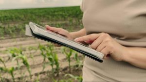 Detalhe de mãos de pessoa utilizando ferramenta tecnológica para gestão de plantação ao fundo, simbolizando o agrotech.
