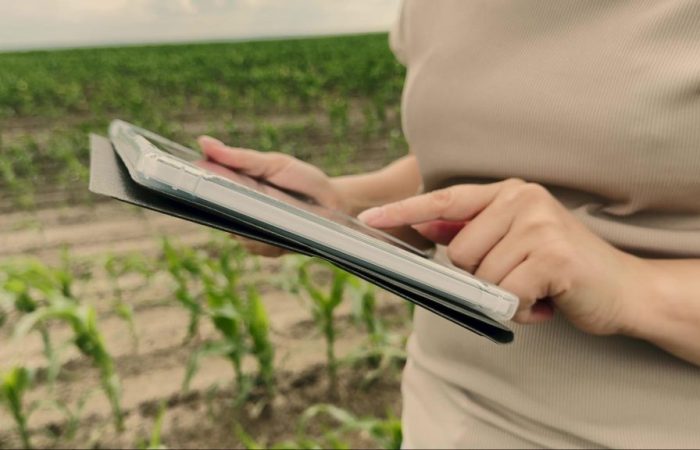 Detalhe de mãos de pessoa utilizando ferramenta tecnológica para gestão de plantação ao fundo, simbolizando o agrotech.