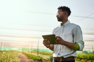 Homem em plantação, olhando resultados do uso da inteligência artificial na agricultura.
