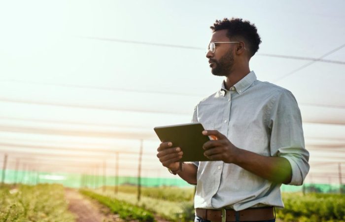 Homem em plantação, olhando resultados do uso da inteligência artificial na agricultura.