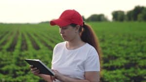 Mulher de boné em plantação, utilizando tecnologia para conferir sobre o que é inutilizar NF.
