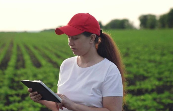 Mulher de boné em plantação, utilizando tecnologia para conferir sobre o que é inutilizar NF.