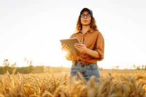 Mulher em plantação de trigo, segurando carta de correção NFe.