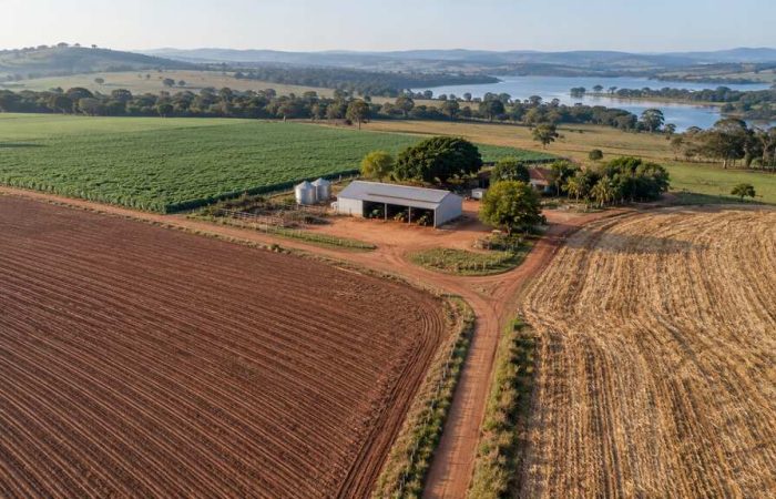 Calendário fiscal para produtores rurais em propriedade com áreas de cultivo e galpão agrícola.